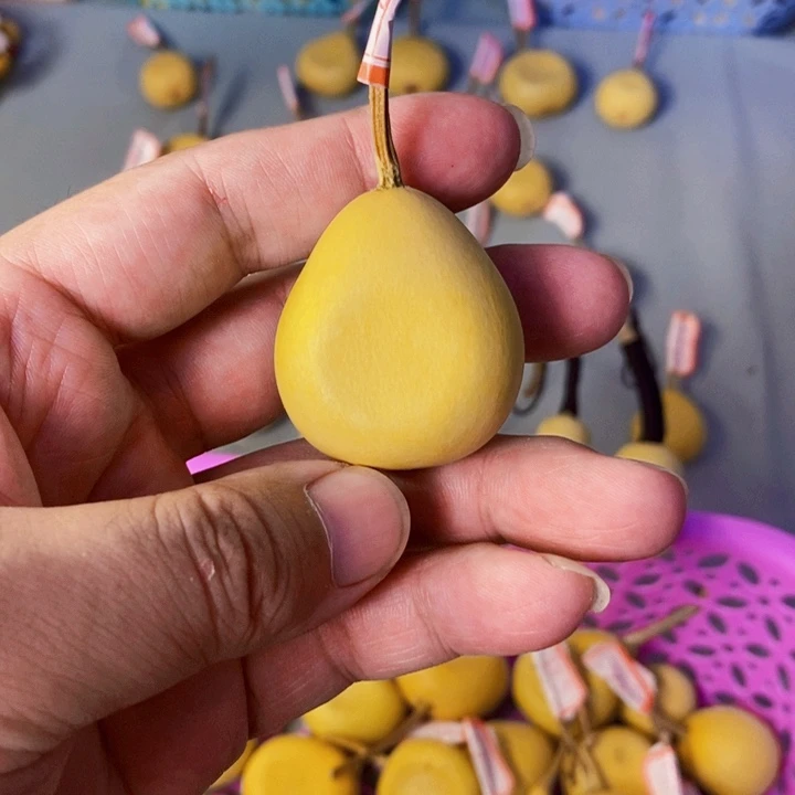 10特别像梨的一个小小扁