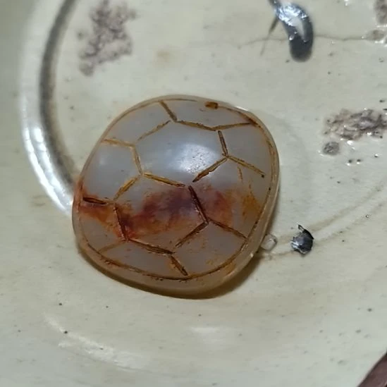 和田玉（糖玉）未镶嵌珠宝奇石玉，，，，，，，，，，，，，，，