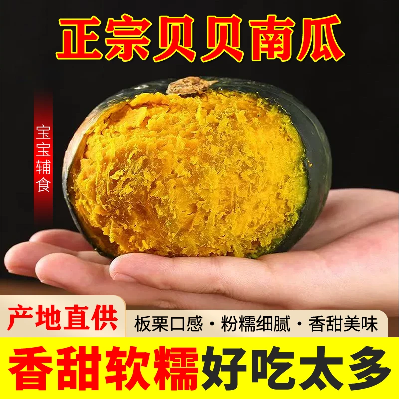 【新疆直发】正宗新疆贝贝南瓜新鲜采摘沙地贝贝南瓜粉糯香甜