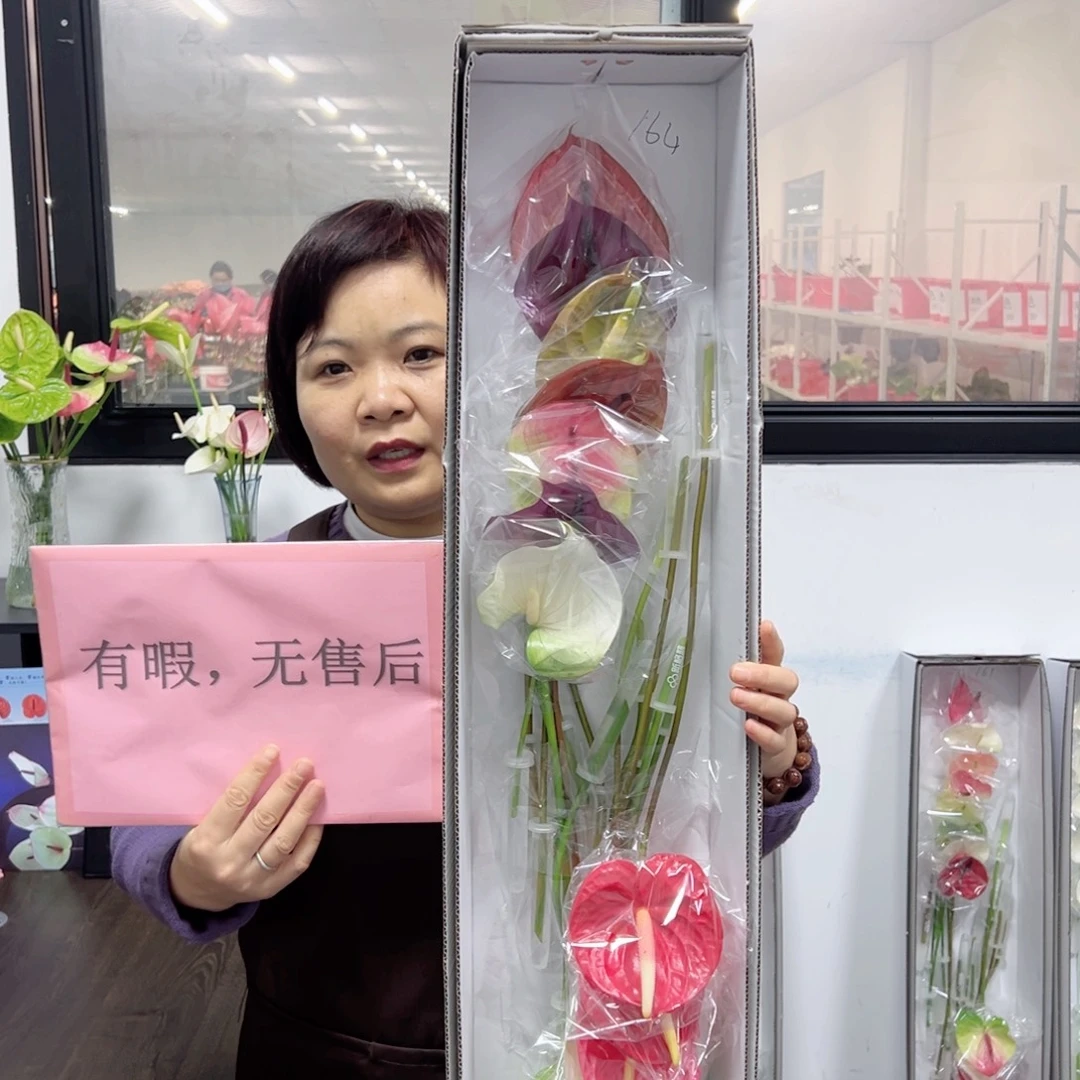 完全开放混色-16枝装无售后款164