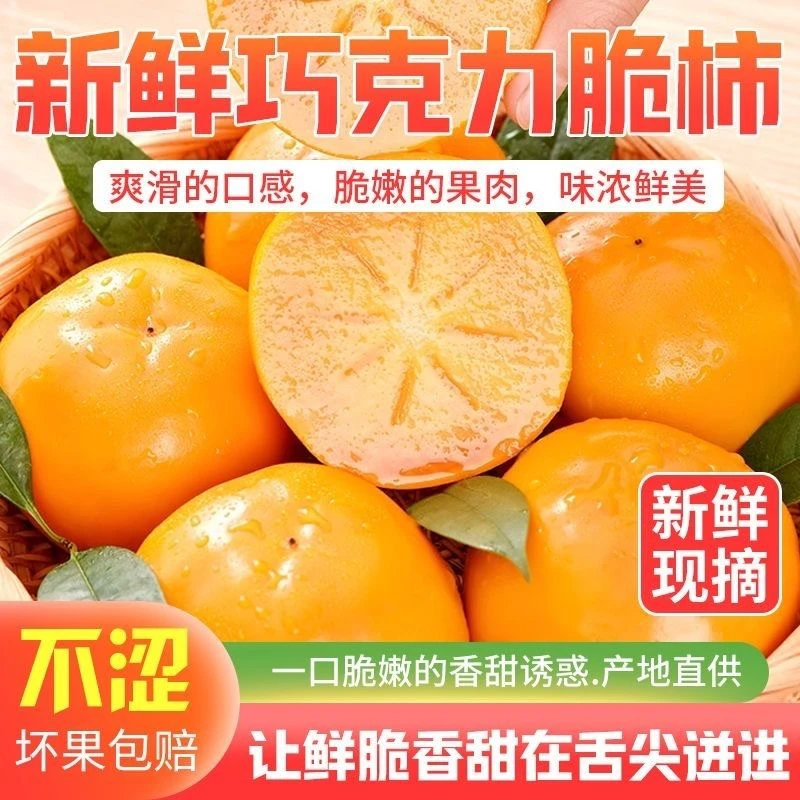 云南巧克力甜脆柿子脆柿子脆甜新鲜孕妇水果批发不涩无籽柿子