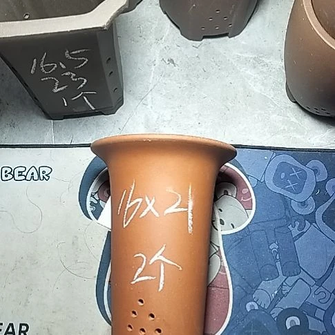 小红兰花两个微瑕