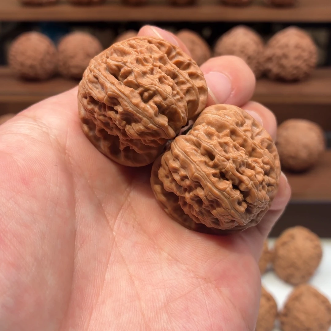 核桃35mm三角白狮子