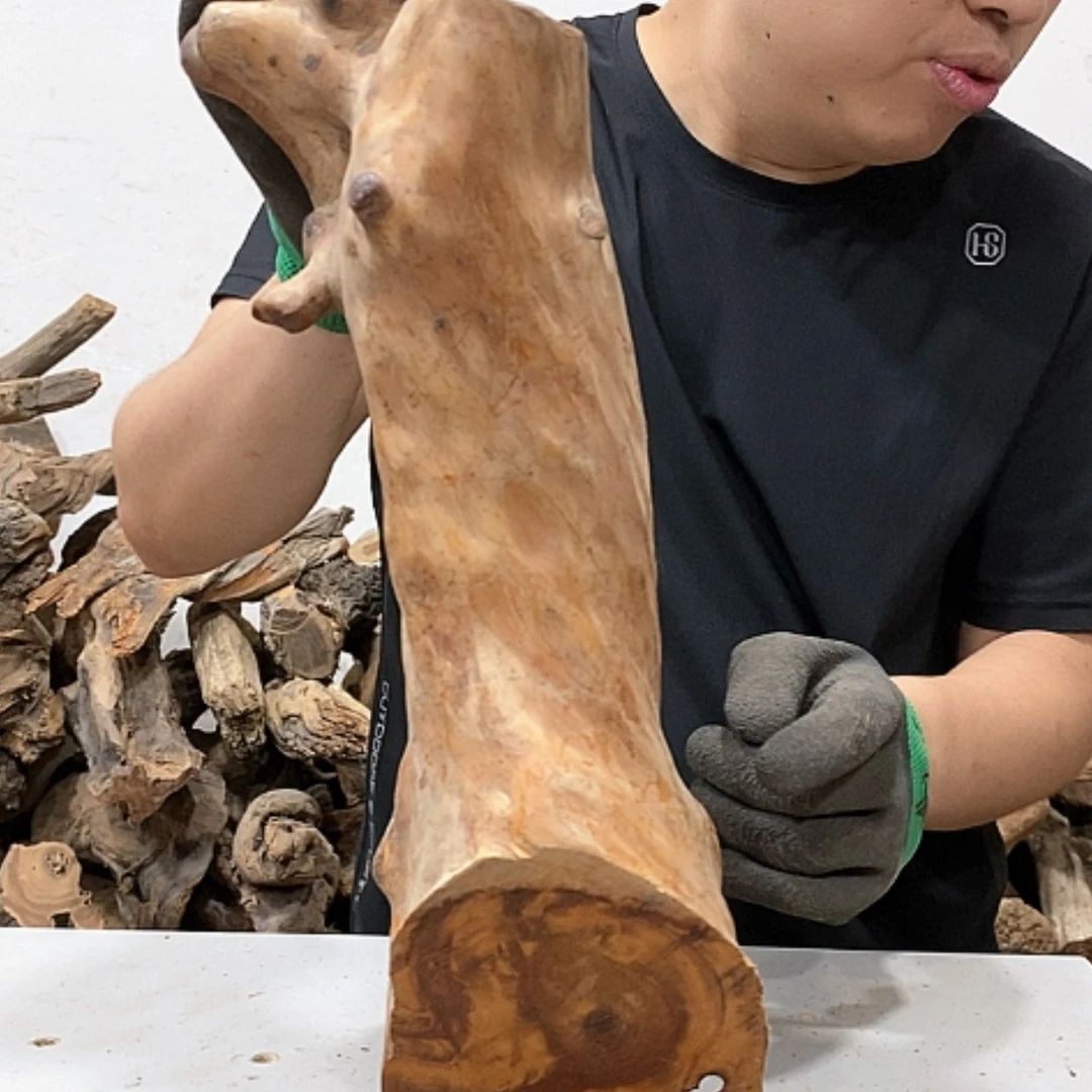 【闪购商品】柏木椿我们都是好孩子