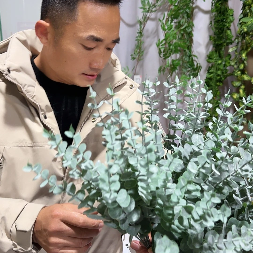 454号尤加利叶7把84支