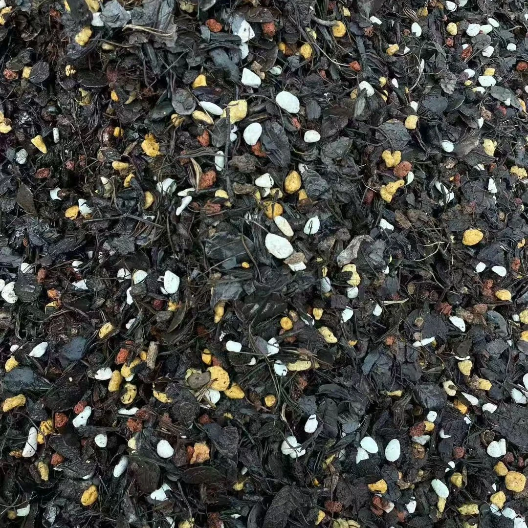 中颗粒兰花植料疏松透气不积水不烂根壮根促芽