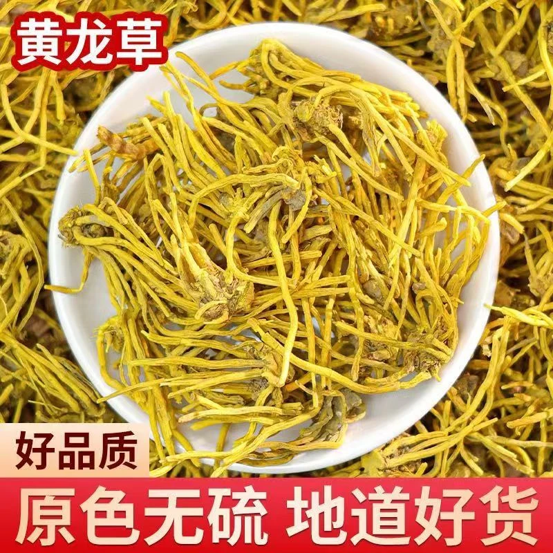 【正品保障】野生（金龙须石斛）冲泡水云南雪山黄龙根黄龙须金龙根