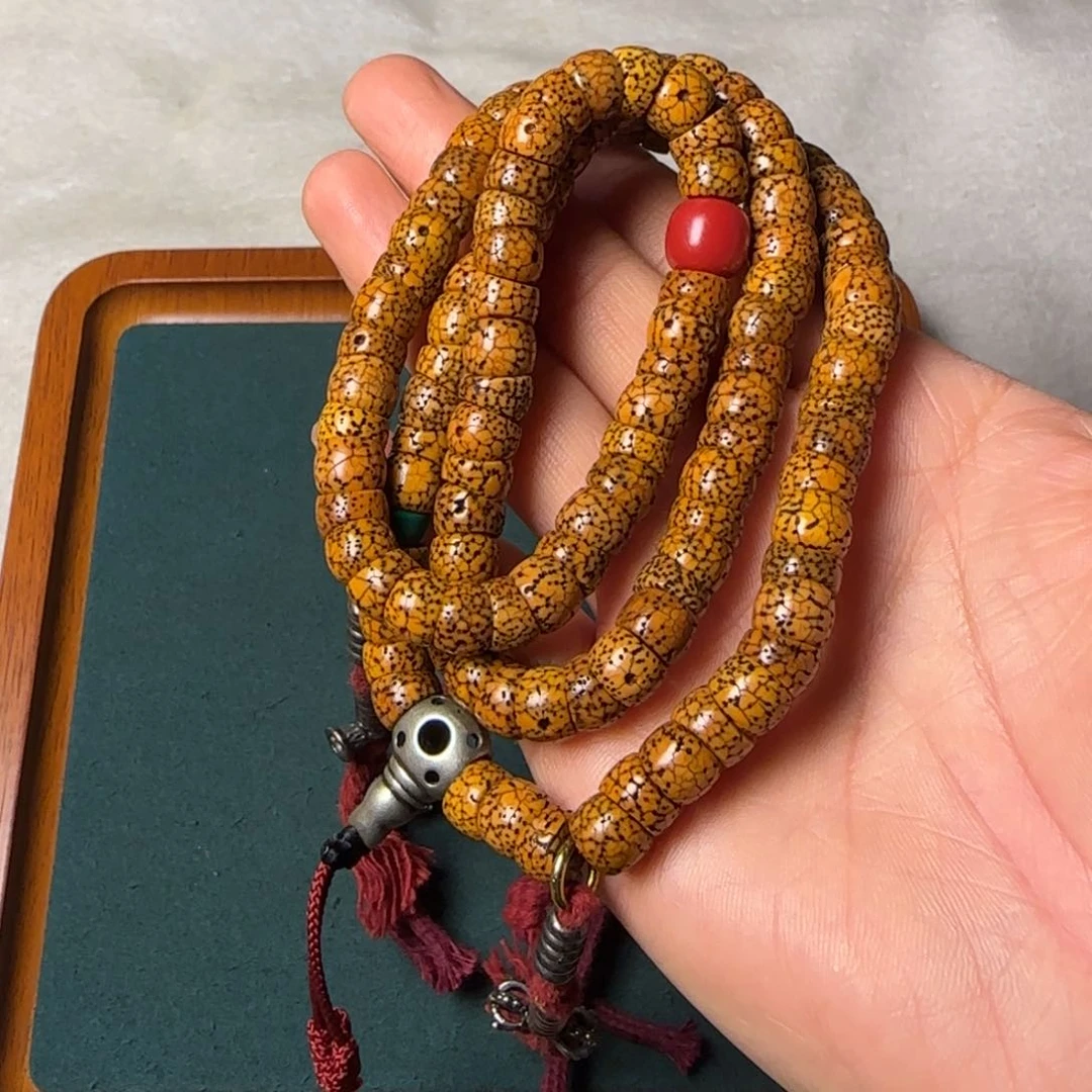 ……………………………………………………