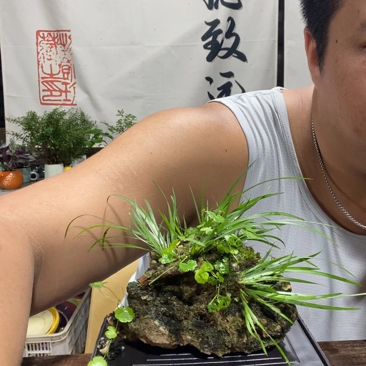 一物一拍所见即所得277