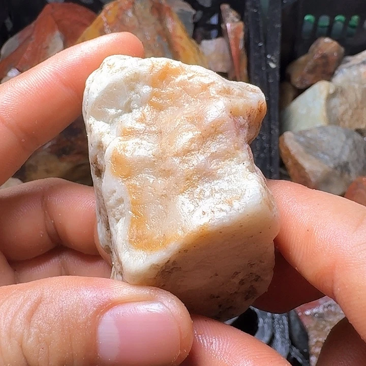 牛***果寿山石寿山石的种类