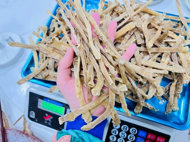 海南本岛，沙虫干