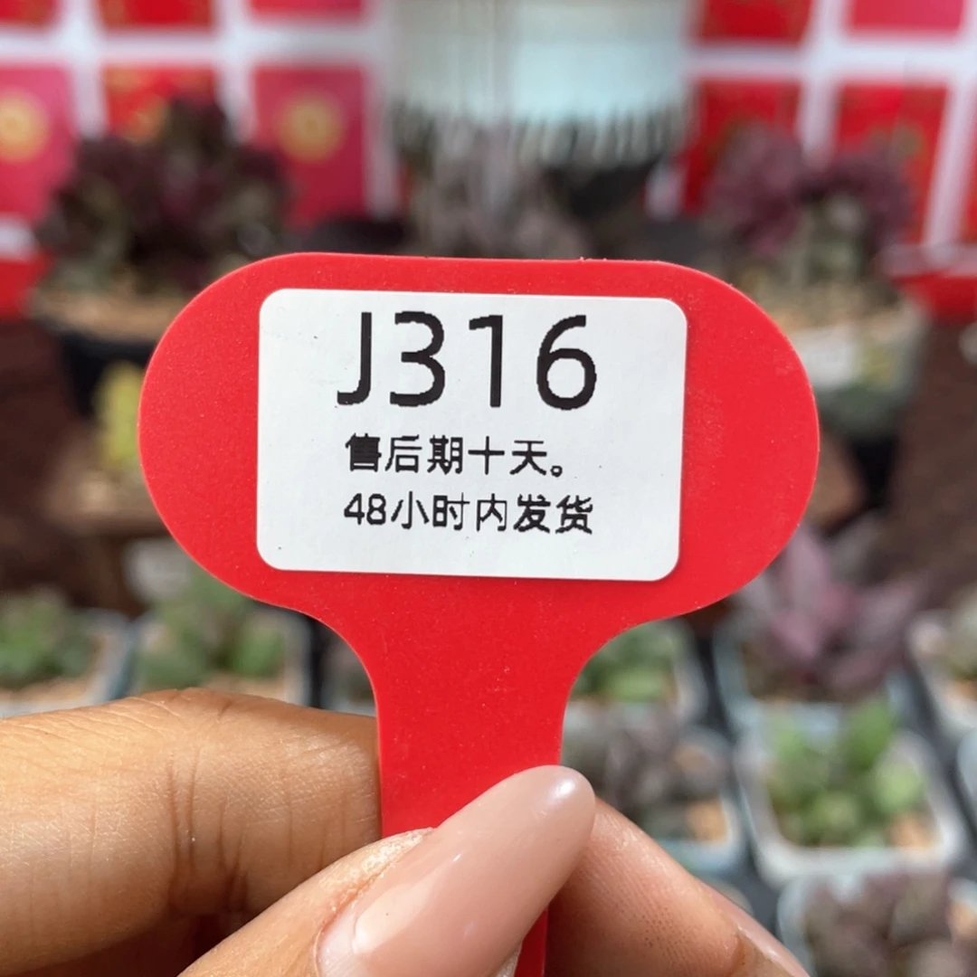 友***我316胖虎补差价。