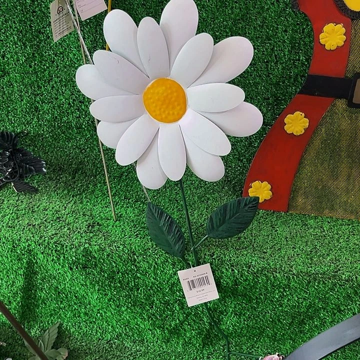 ?*c户外园艺植物孤品给力