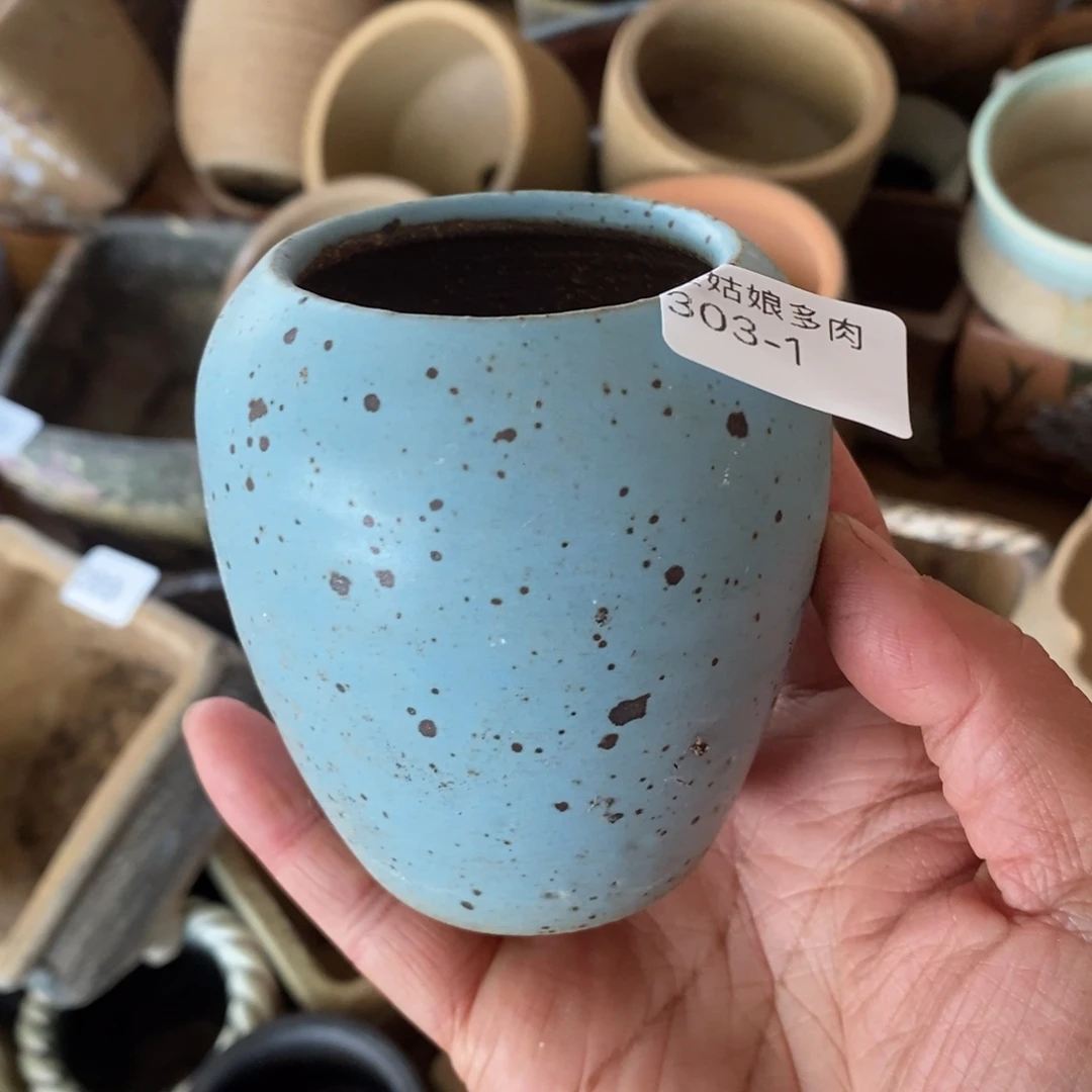 红陶1号多肉盆一个呀