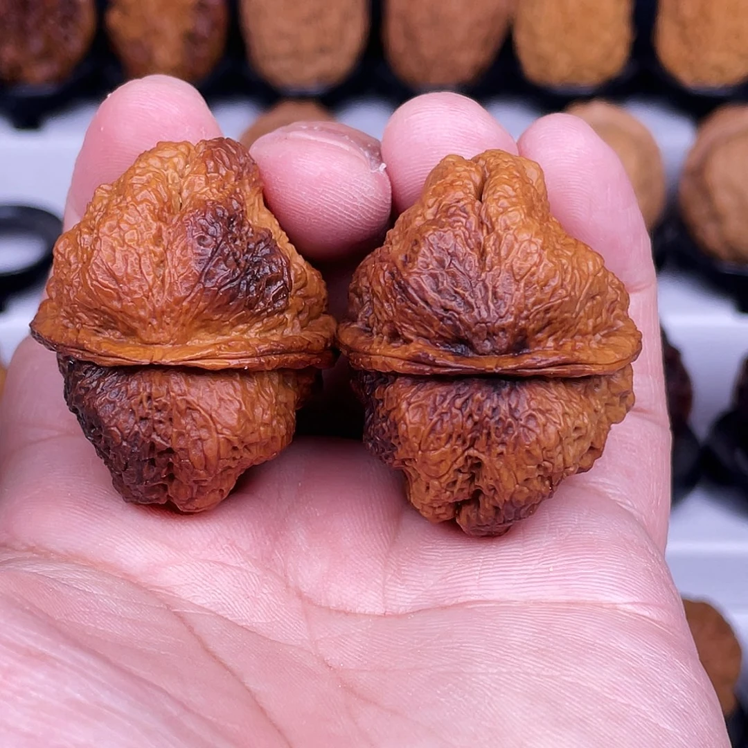 文玩核桃吊坠蝴蝶蟾43尺不退不换