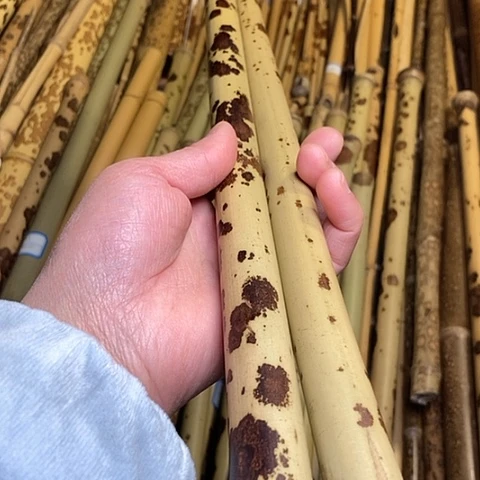 姑****箫精美湘妃竹两个一起拍