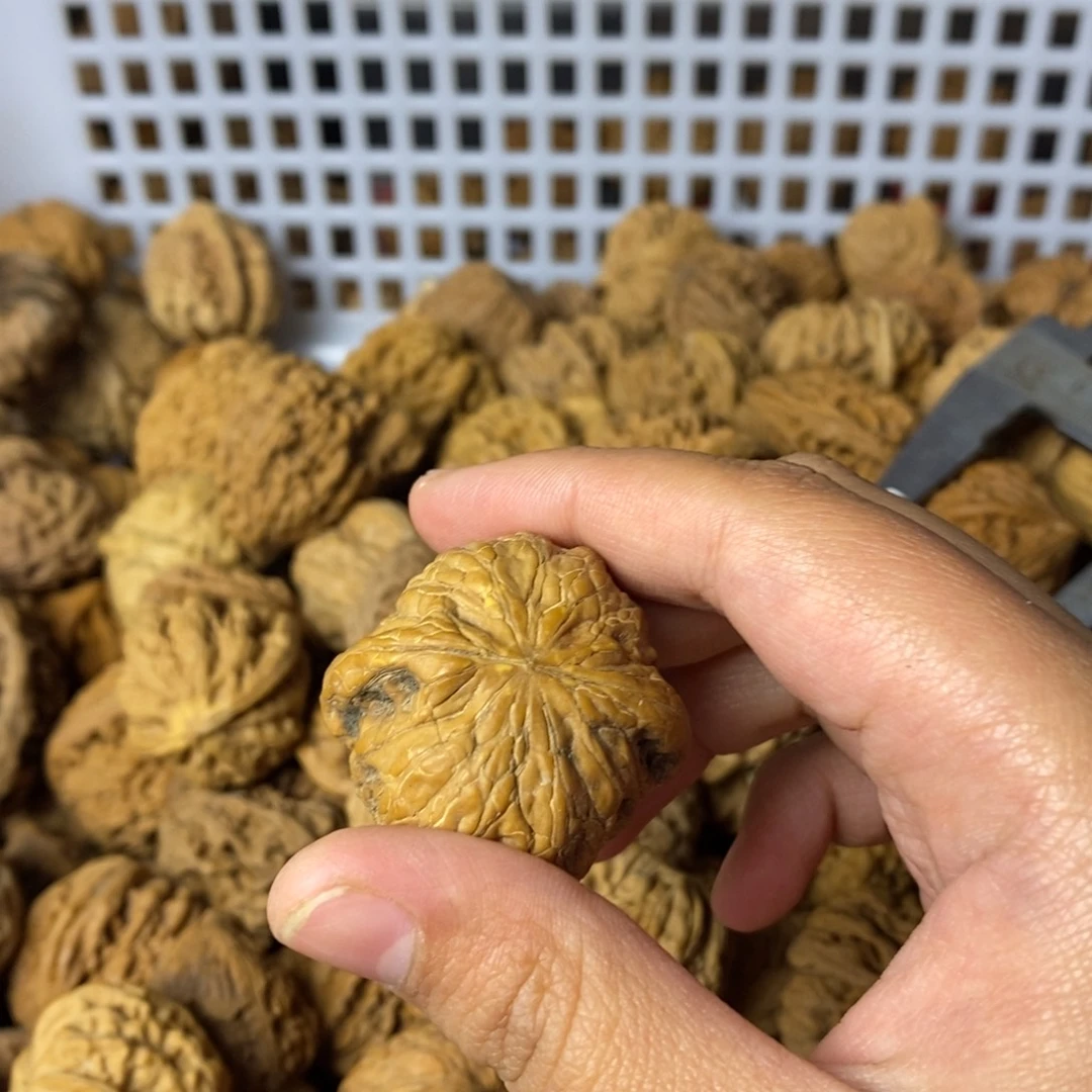 云***客大叶紫檀（黑酸枝木类）