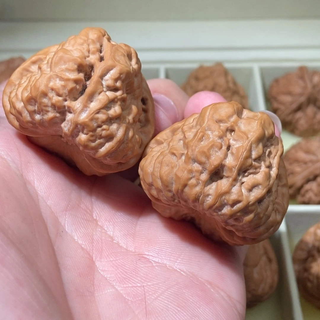 文玩核桃把件41蛤蟆