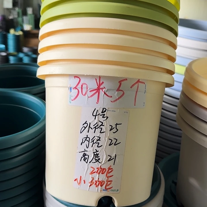 微瑕4#米黄8个无托