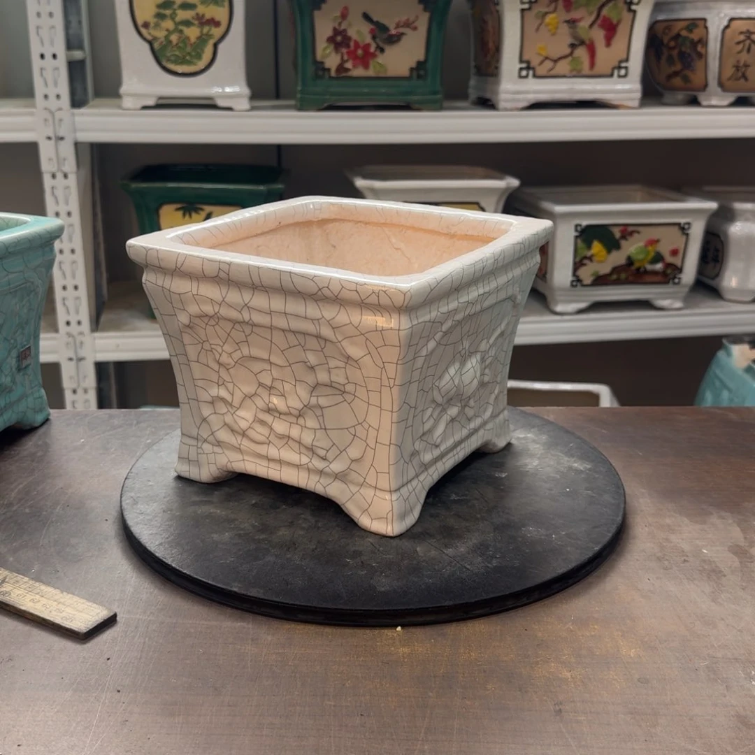 红陶l****影22222222222