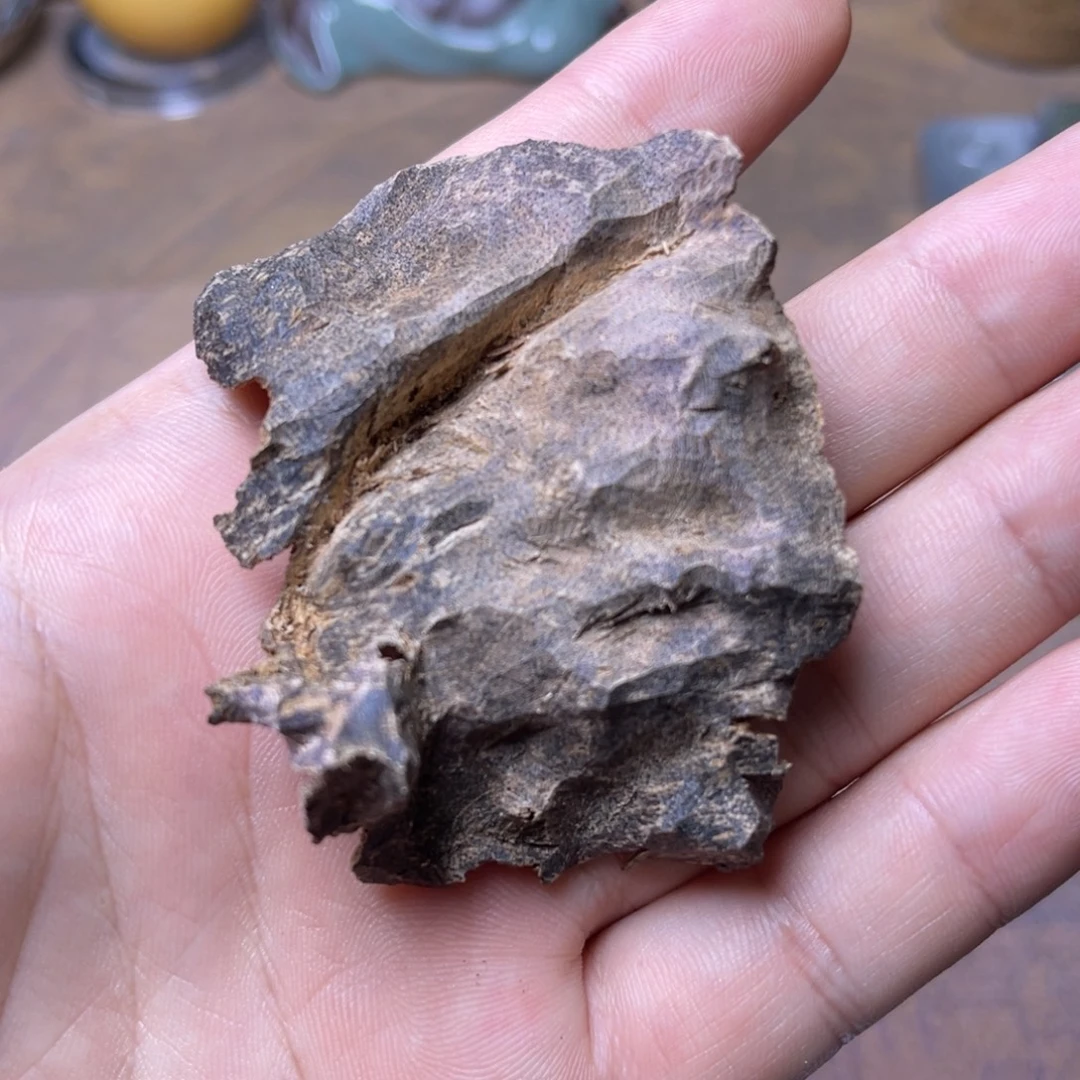 沉香碎屑沉香海南琼中天然老包壳5.5克