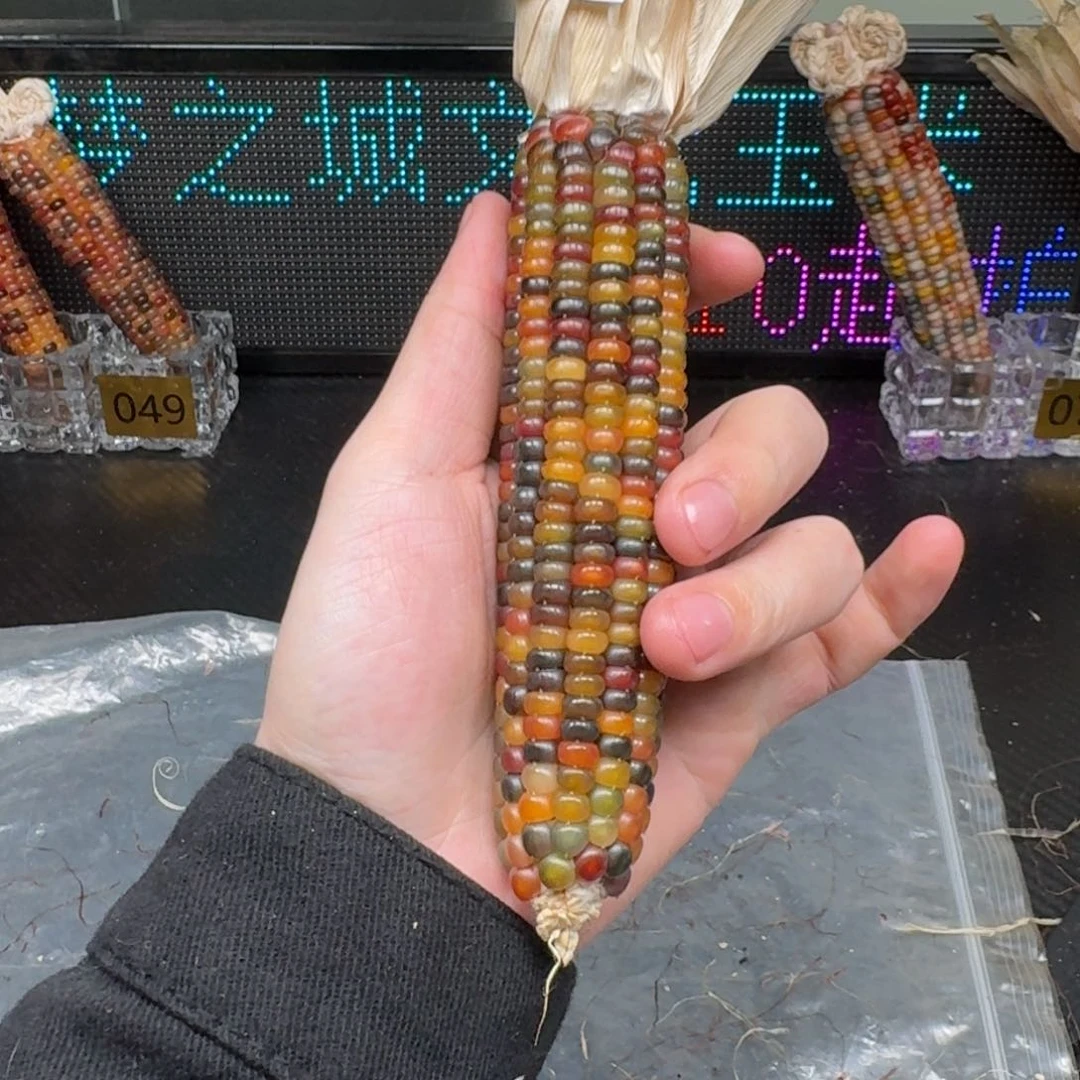 柏香籽/百香籽吊坠?**子