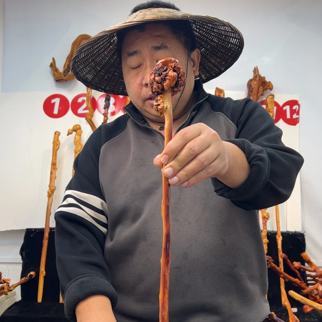 其他黑果木黑果木699