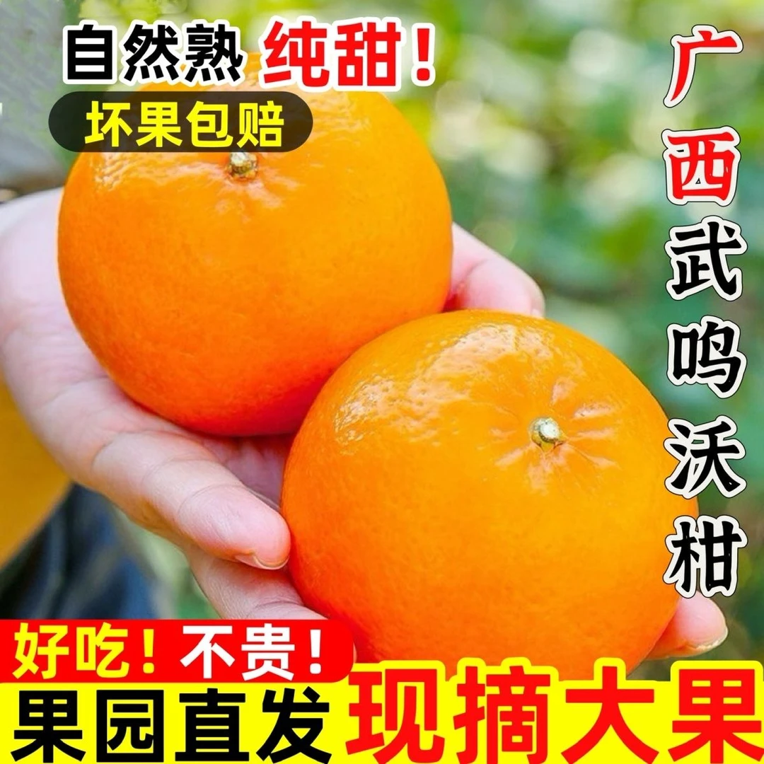 广西武鸣沃柑柑新鲜当季水果甜润多汁口感鲜美
