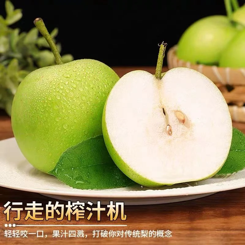 正宗百年梨树王砀山青梨整箱包邮净重4.5/8.5斤徐州/砀山多仓发货