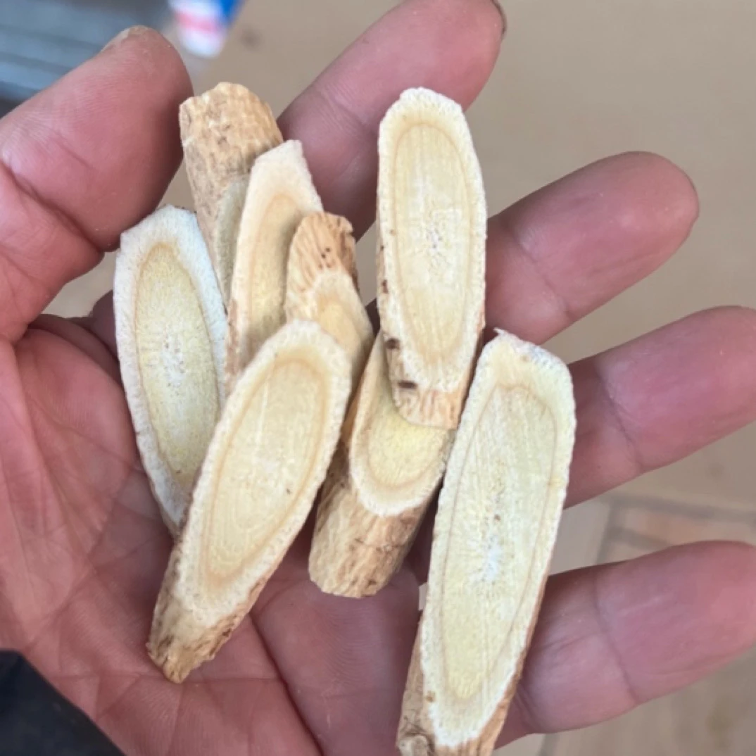 （黄芪中片）甘肃原产地种植黄芪主根切片泡水