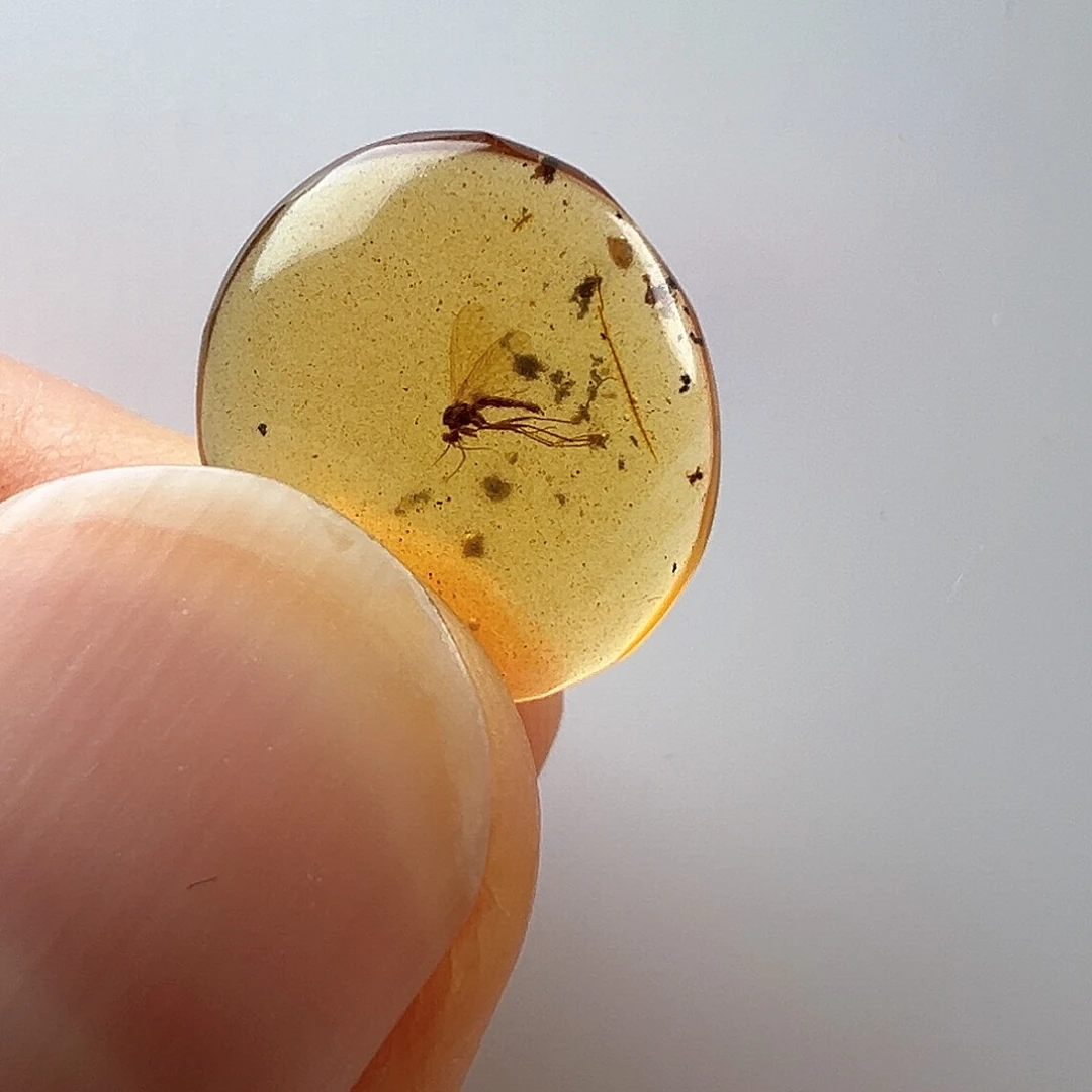 琥珀裸石未镶嵌灵***者