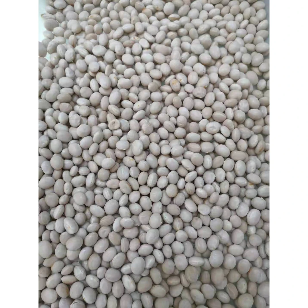 精品小油豆架豆种子
