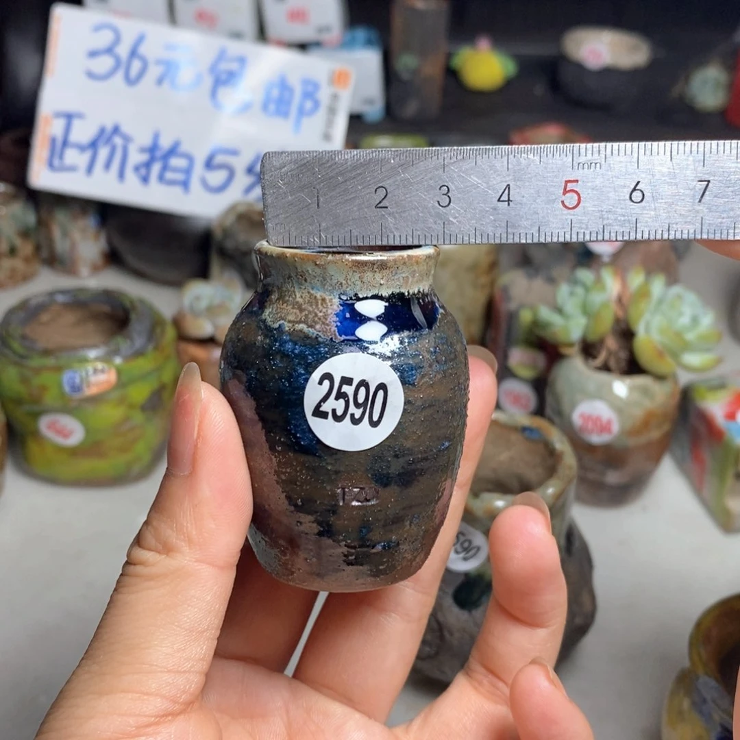 拍5送一个小礼物