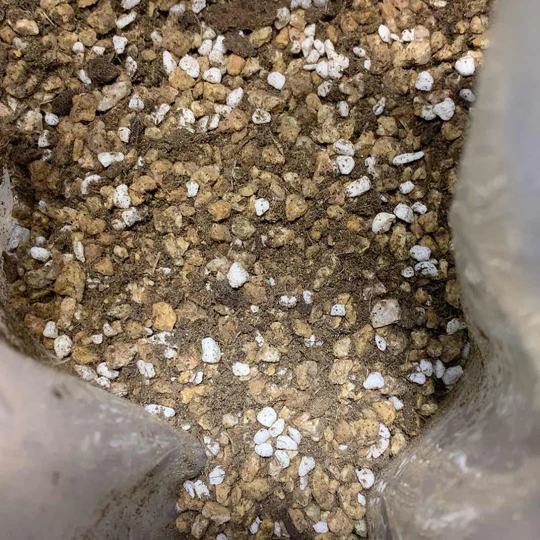 70颗粒土5斤装3-5