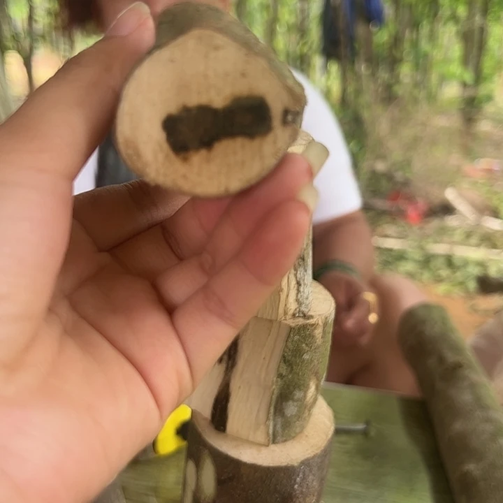 线香奇楠沉香原木