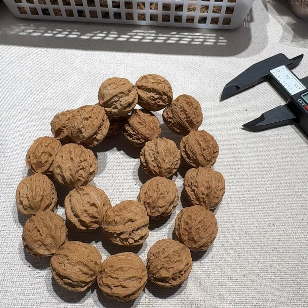 核桃手串/手链137号边22手持