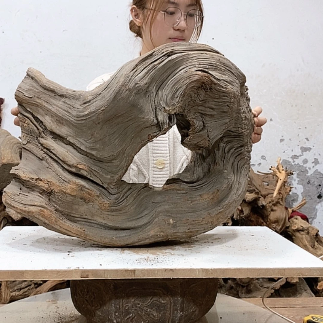 【闪购商品】柏木随**匠我们都是好孩子