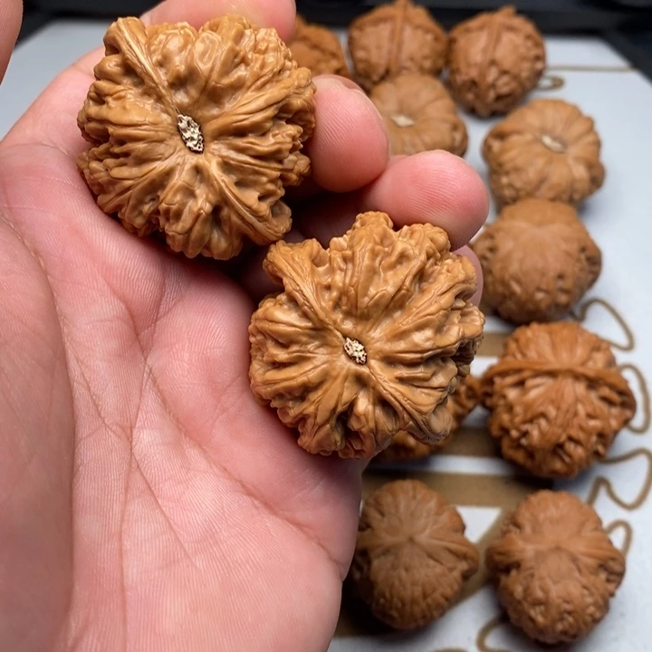 青***客把件文玩核桃全品粗筋45尺