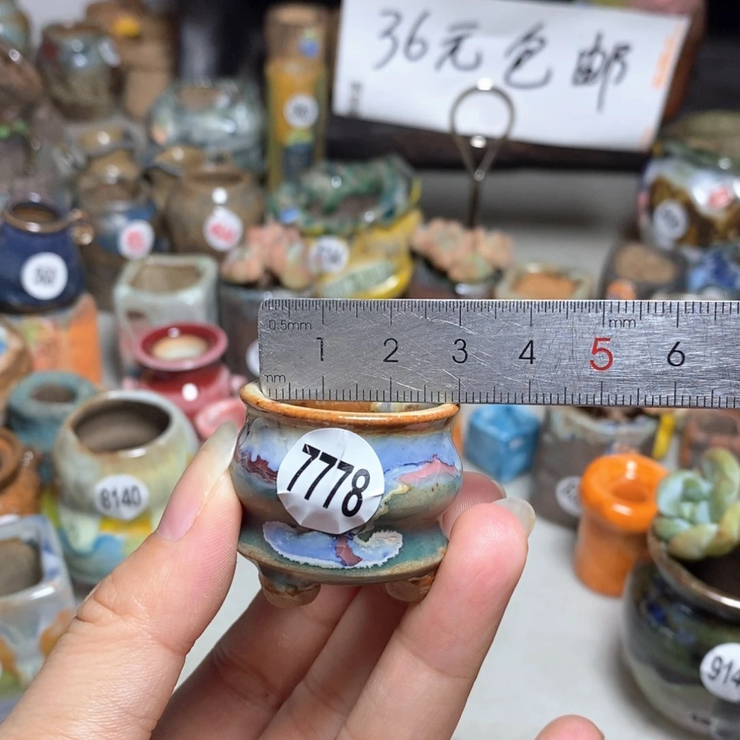 拍5送一个小礼物