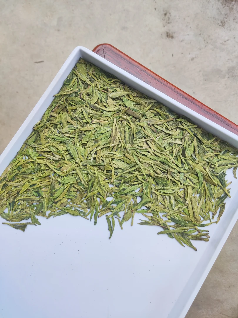 2025年新昌大佛龙井谷雨前高山土茶龙井豆香500克