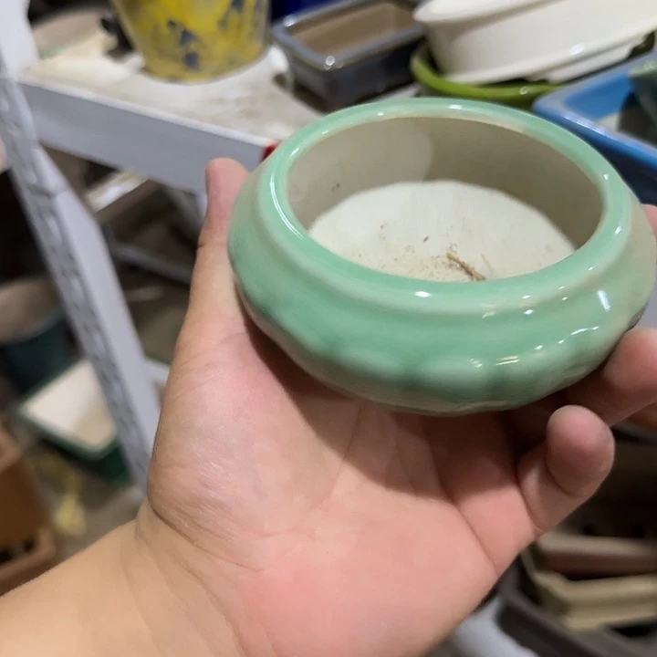 不能去找了嘛亲爱我不