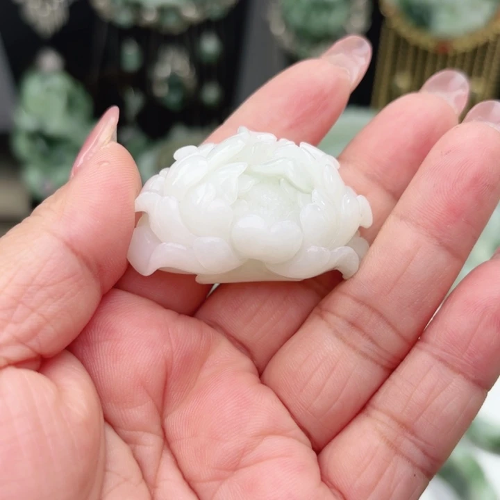 灵***芝透闪石-蛇纹石玉未镶嵌颈饰