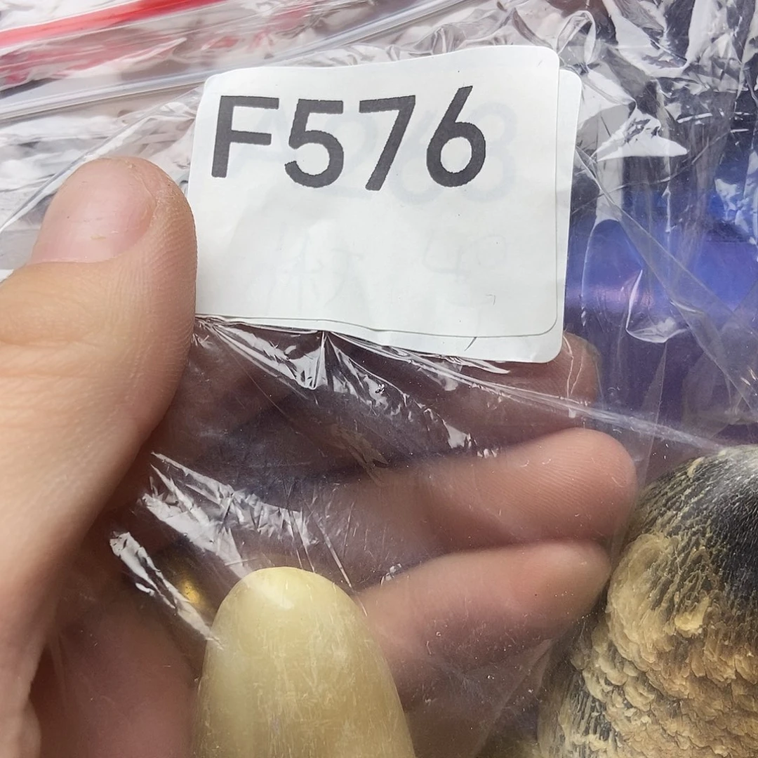 手工艺品琉璃奔****来576