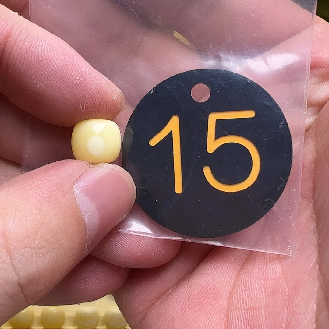 琥珀未镶嵌珠宝奇石?****远10+mm