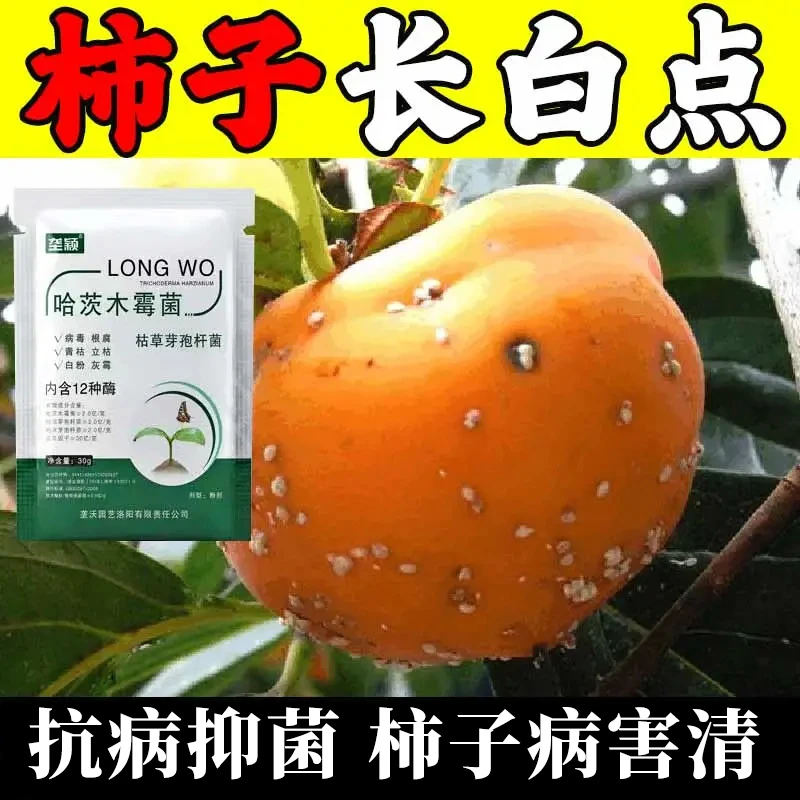 柿子树病害专用微生物肥料柿子病害清枯枝病炭疽病白虱抑菌剂肥料