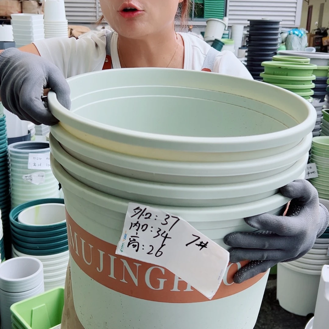 矮胖7#米白色4个无托