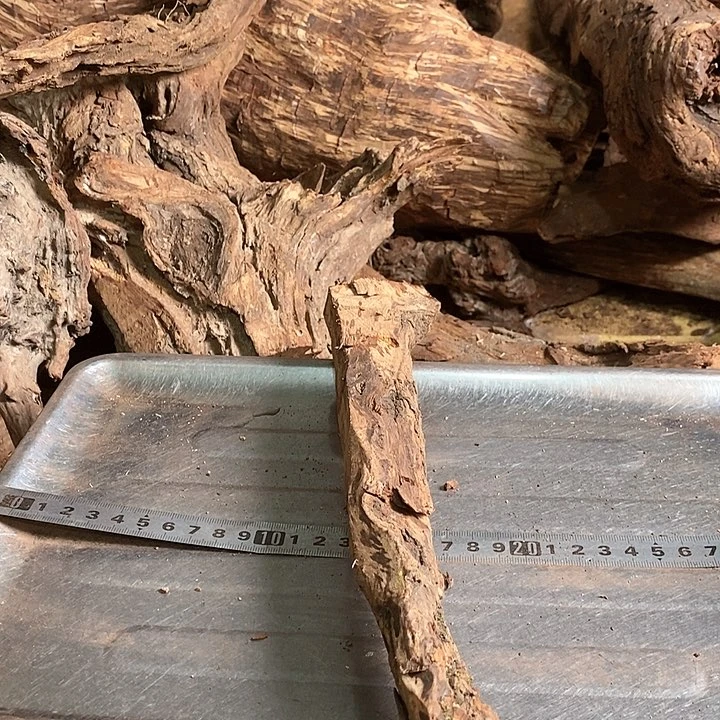 花梨木类用****6海南花梨