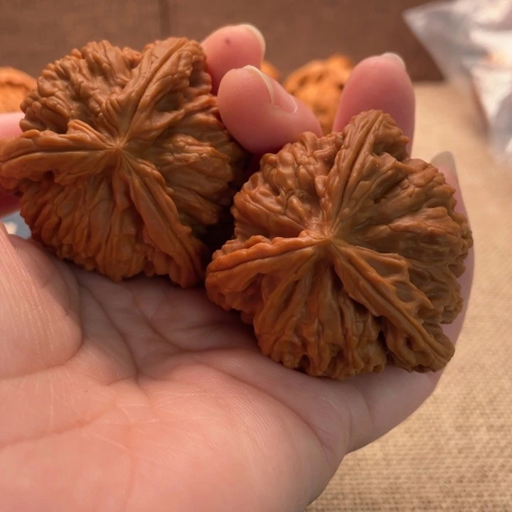 江***湖核桃白狮子45核桃