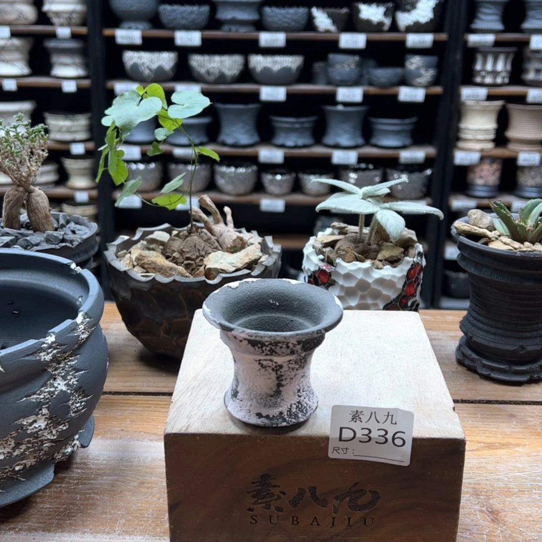 素八九陶瓷内口7高6别****哥