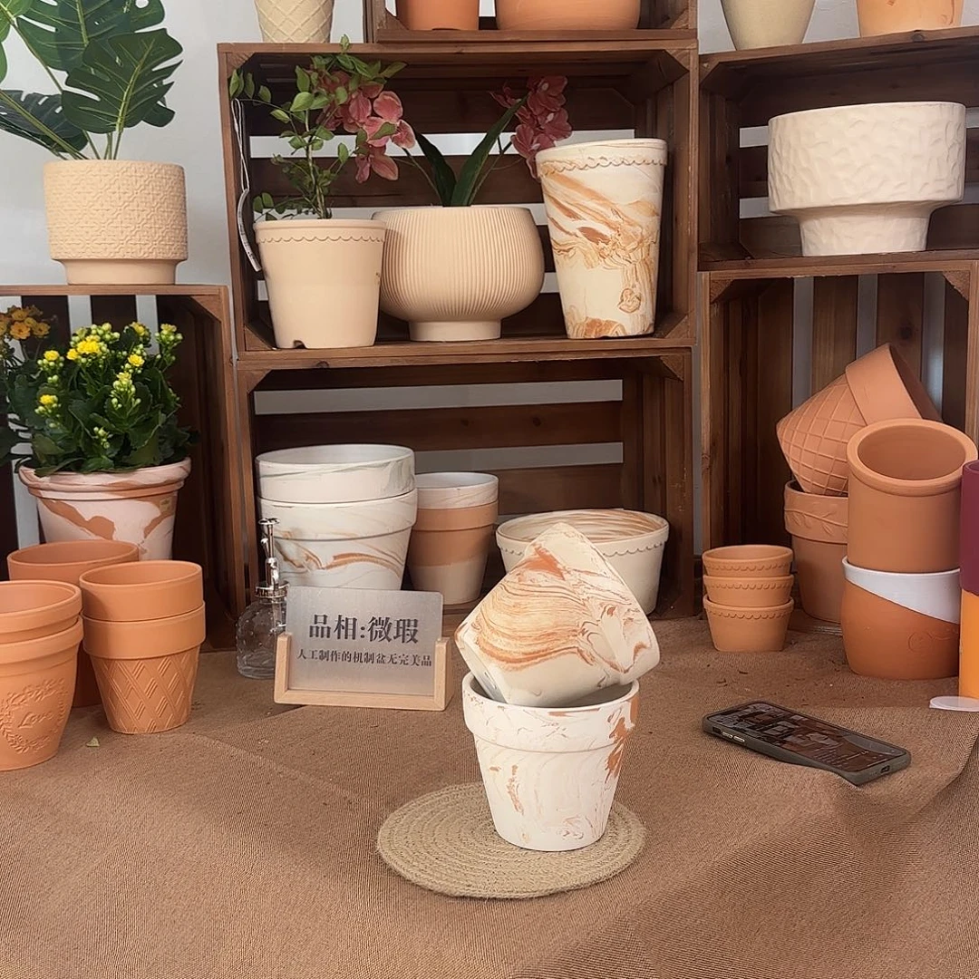 微瑕橘里橘气标准国际盆12口10高2个